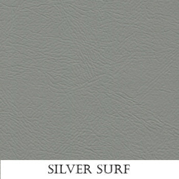 Silver Surf